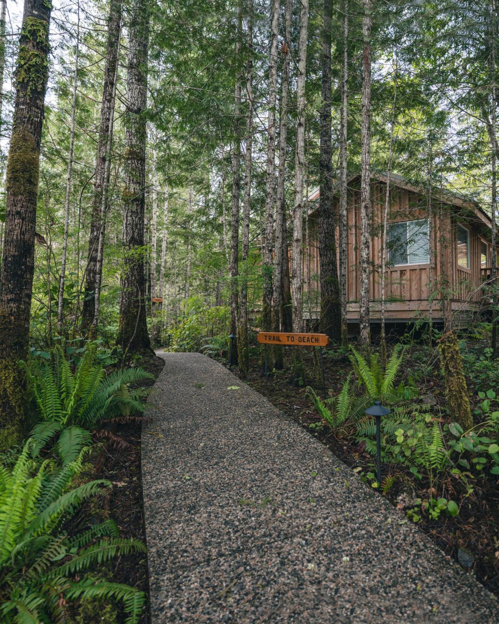 West Coast Wilderness Lodge Egmont エクステリア 写真